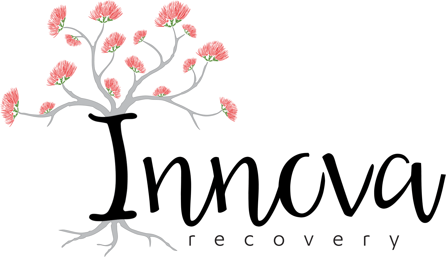 Innova Recovery