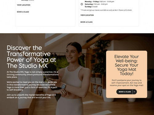 View Our Work for The Studio MX | Row Business Solutions