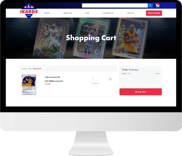 online-shopping-ecommerce